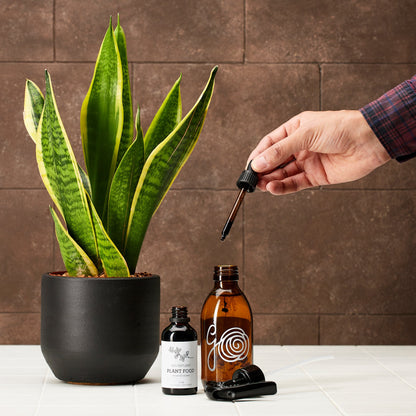 Generosa sustainable plant fertiliser in eco-friendly glass bottle