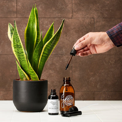 Pet-safe and non-toxic plant pest protection spray by Generosa