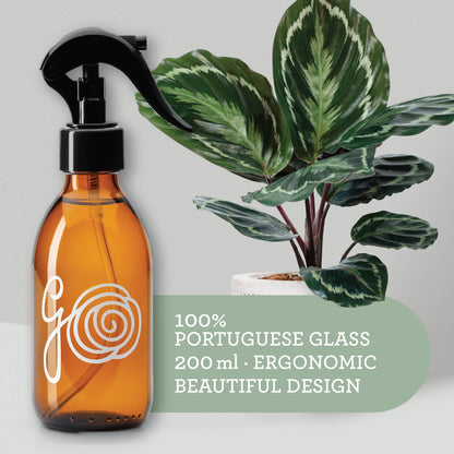 Generosa vintage style glass water sprayer for stylish plant parenting