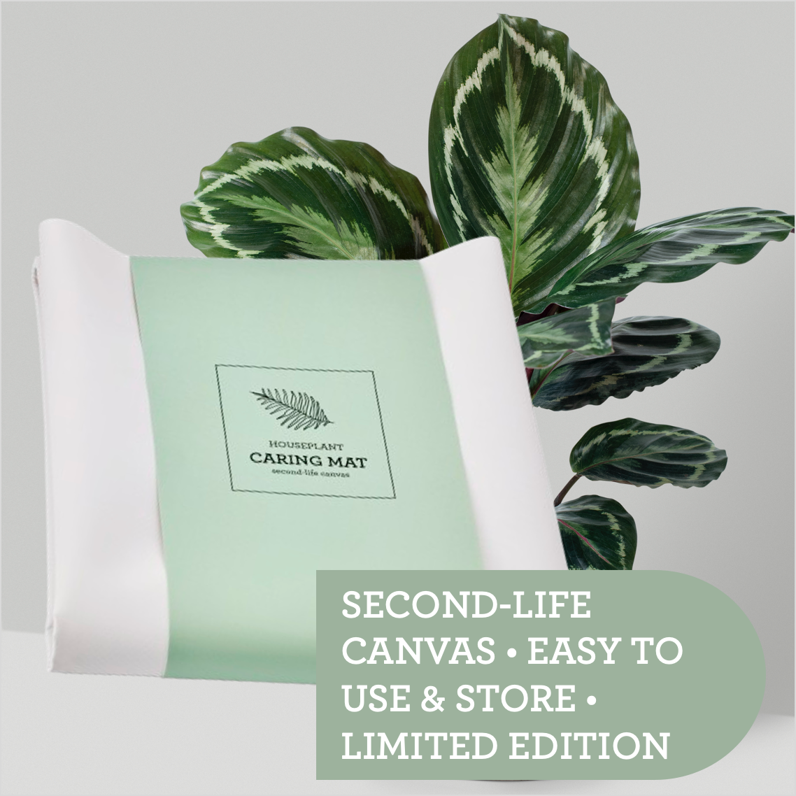 Generosa gardening accessory for neat and organized indoor plant care