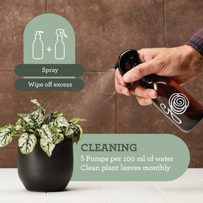 Eco-friendly plant leaf cleaner spray for a professional indoor jungle look