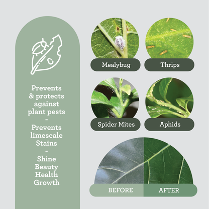 Eco-friendly neem oil concentrated formula for sustainable gardening