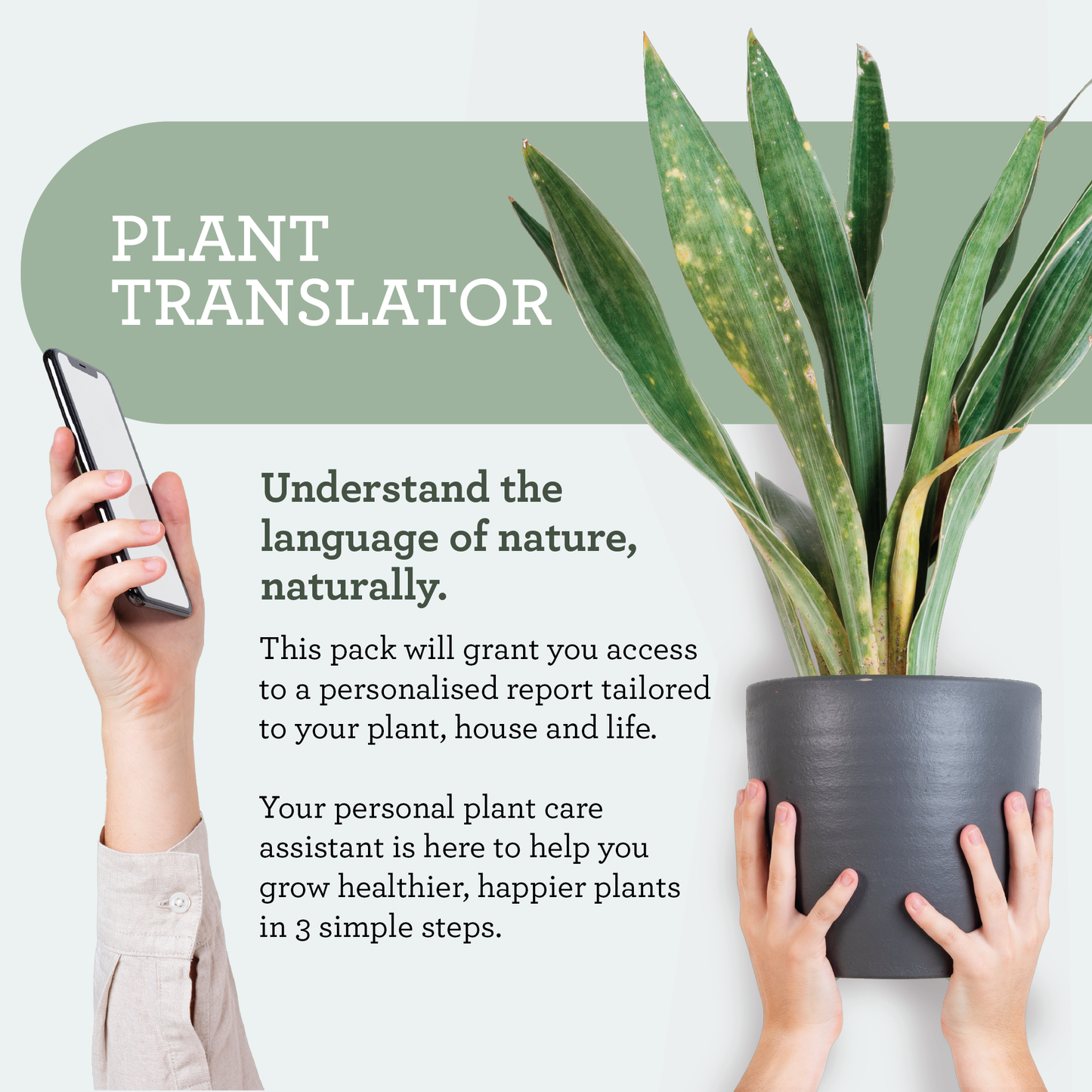Generosa Plant Treat Gift Set – Plant Nourishment | Natural Liquid Fertiliser 50ml and Glass Spray Bottle | Nutrients for Houseplants | Gift for Plant Lovers, Gift Ideas, Eco-friendly Gift-4