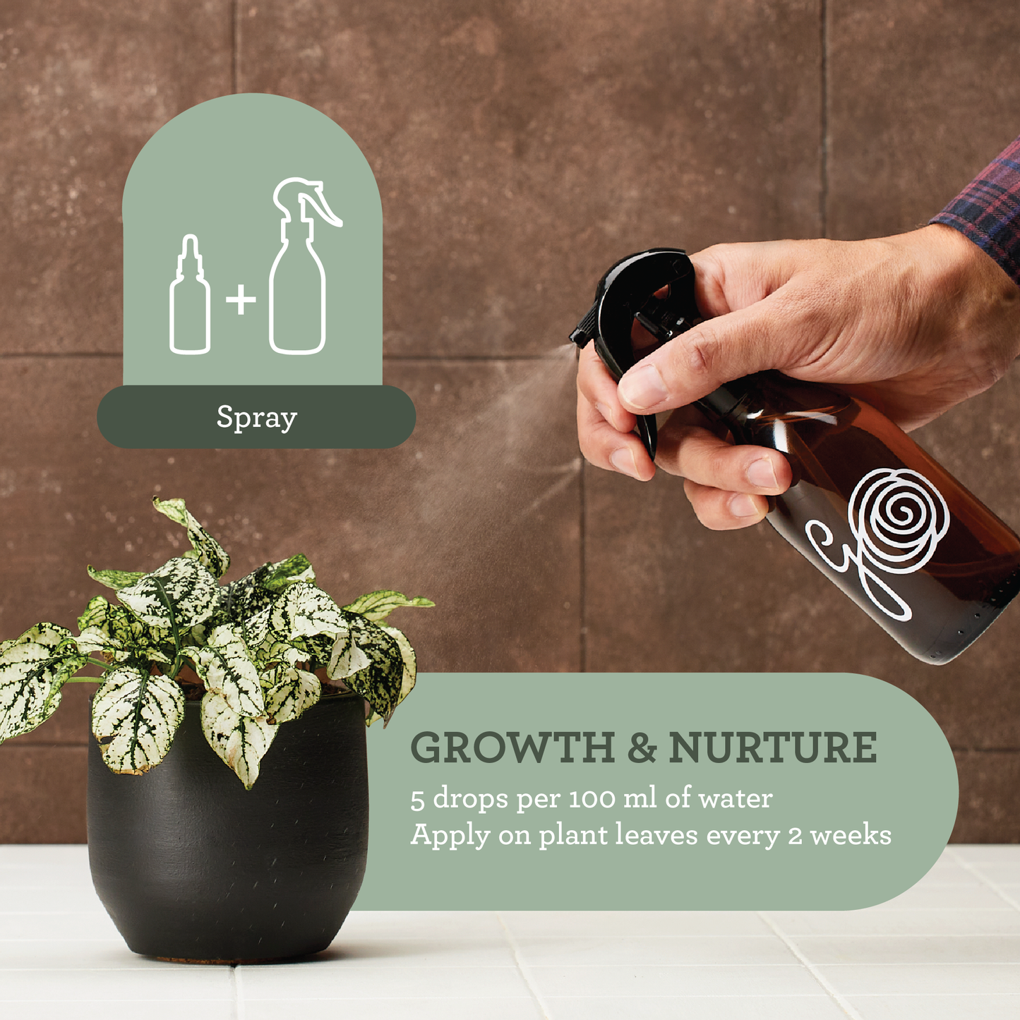 Organic liquid fertiliser with pipette for easy indoor plant feeding