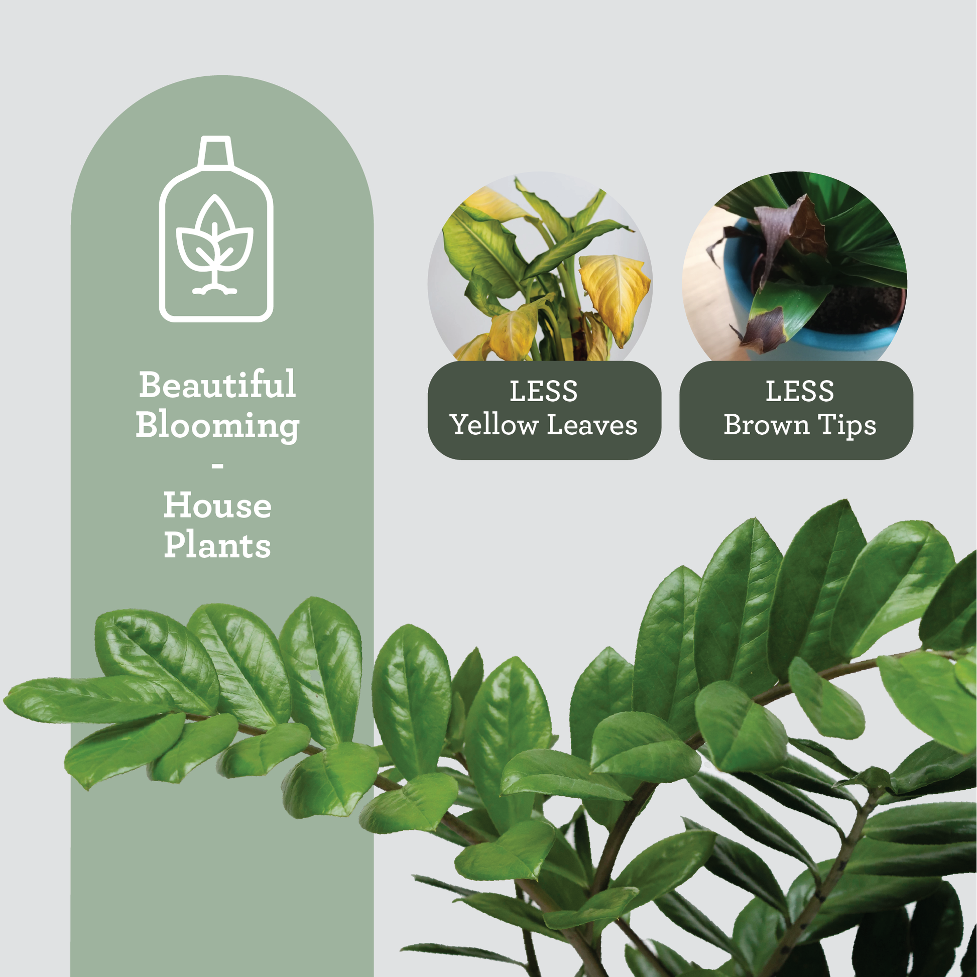 Professional grade organic plant food for indoor gardening enthusiasts