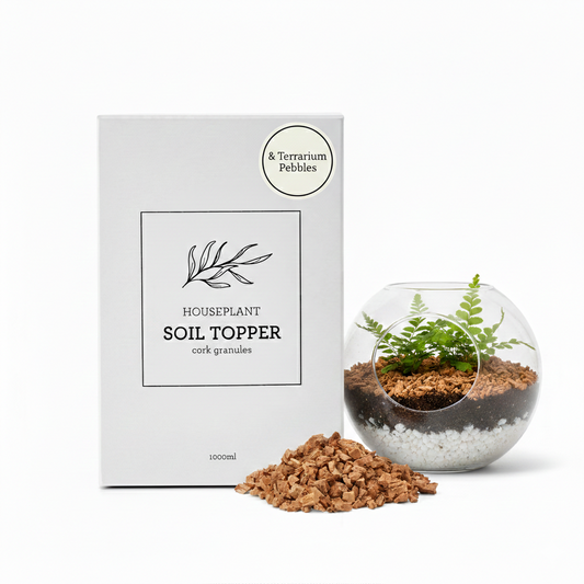 Generosa decorative soil topper and drainage pebbles for indoor plants - Sustainable natural stones for terrariums