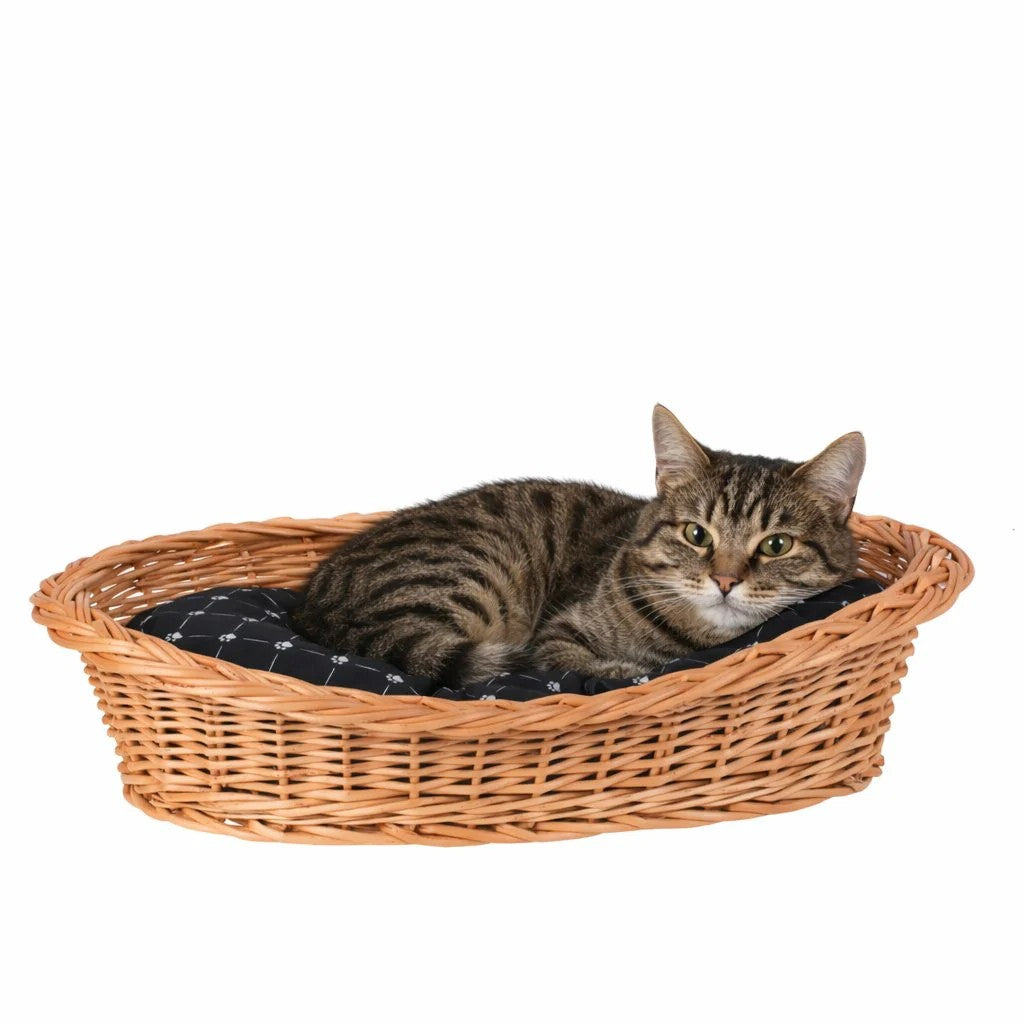 Enovia Natural Wicker Dog Bed With Black Cushion, 80x60 cm