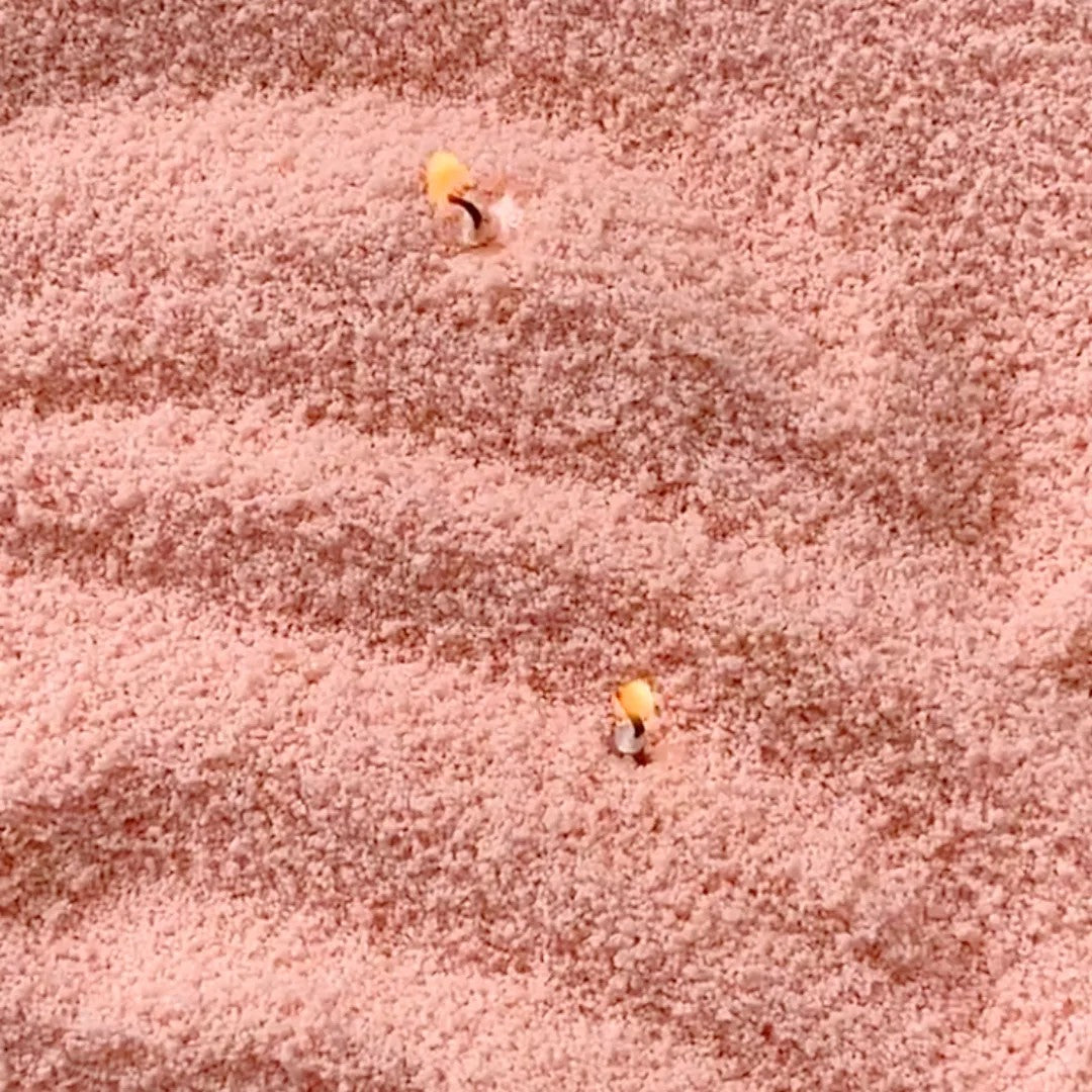 Close-up of vibrant  Peach vegetable wax pearls texture 330g
