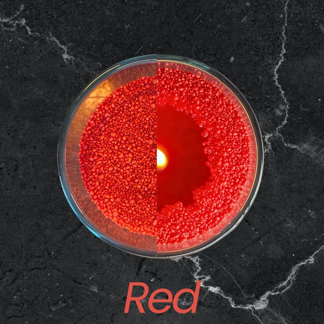 Close-up of vibrant Red vegetable wax pearls texture 330g
